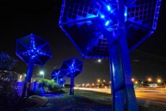 bluesufnlower